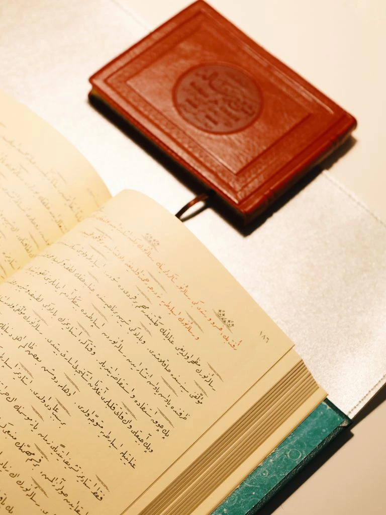 An open calendar on a wooden desk, suggesting a scheduled partner meeting.